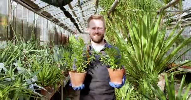 Vor der Kamera lächelt ein großer Blumenhändler mit zwei Topfblumen und geht aufgeregt direkt in die Kamera. — Stockvideo