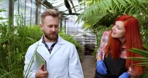 Karizmatik erkek bilim adamı ve büyük gülüşlü çiçekçi kadın bir seraya çiçek ve bitki ekme planını analiz ediyorlar.. — Stok video