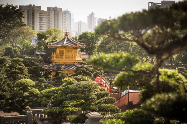 Pavilhão Dourado Perfeição Absoluta Nan Lian Garden Chi Lin Nunnery — Fotografia de Stock