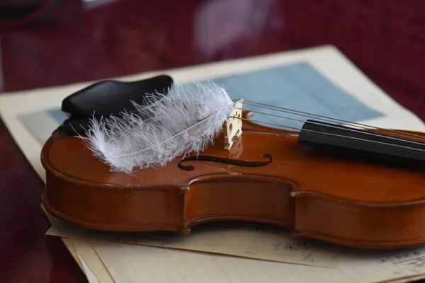 Nahaufnahme Einer Geige — Stockfoto