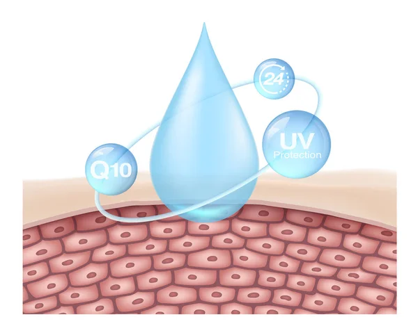 Skin Nourishing Formulas Both Contain Q10 Prevent Radiation Sun Skin — Stock Vector