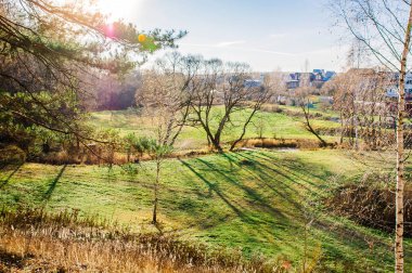 yeşil çim ve uzun gölgeler ile güneşin arka planda olan bir alana