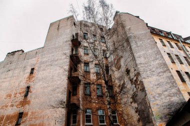 Saint Petersburg merkezinde konut binasının arka ağaca