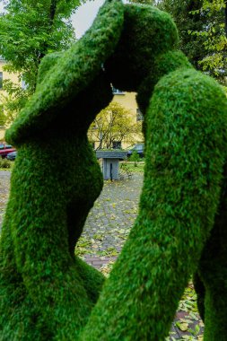 öpüşen bir çift çimen heykel