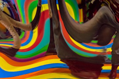 Dört bacak ve çok renkli çizgili eğri aynaya yansıyan