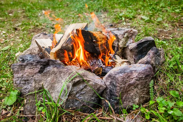 bonfire in the circle of stones in the forest