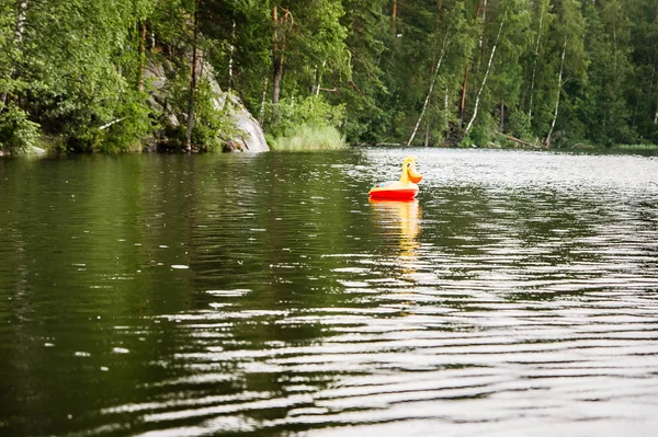 Anillo Goma Para Niños Solitarios Con Cabeza Pato Flotando Lago — Foto de Stock