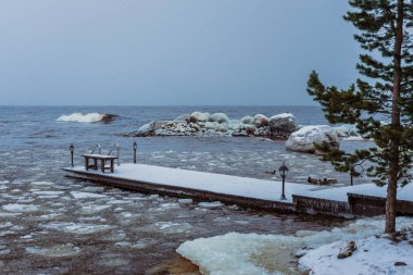 Kış gölünün kıyısında çam ve iskele 