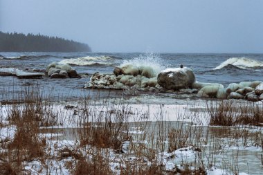 Kış gölünün kıyısındaki buzlu taşlar, biraz daha yakın.