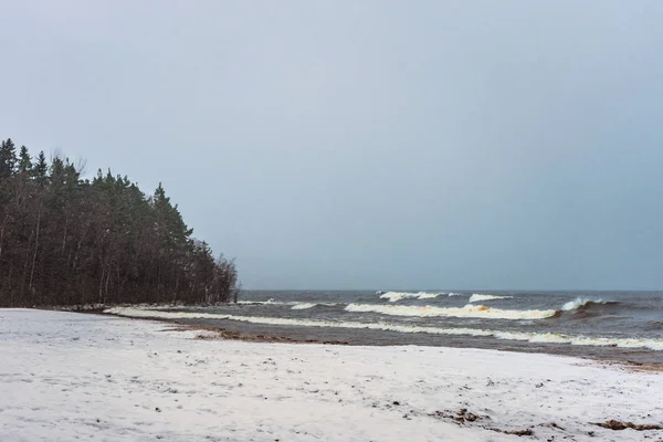 Nieve Una Playa Congelada Del Lago Invierno — Foto de Stock