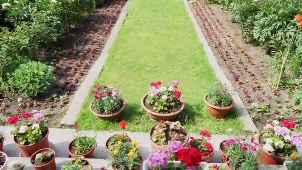 Gräsmatta Med Blommor Rabatter Med Träd Bakgrunden Långsamt Flytta Från — Stockvideo