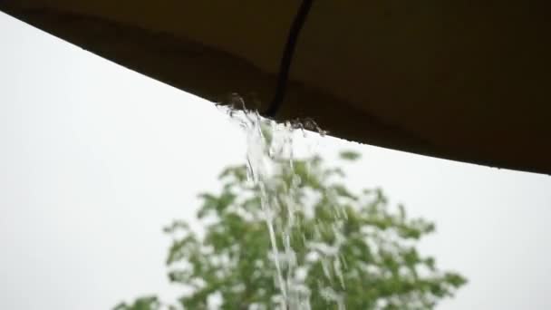 Water Valt Uit Een Tent Met Een Hoge Boom Achtergrond — Stockvideo