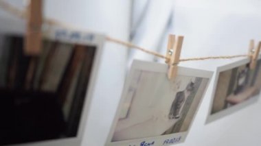 Bir siyam vaşağı kedisi fotoğraflarının kokusunu alır.