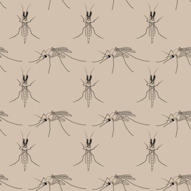 Erkek ve dişi sivrisinek doğaüstü çizimler kusursuz desenler