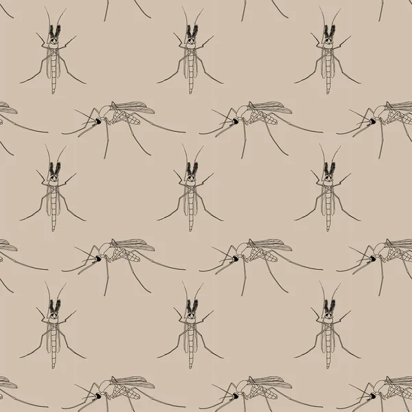 Moustique Mâle Femelle Illustration Naturaliste Motif Sans Couture — Image vectorielle