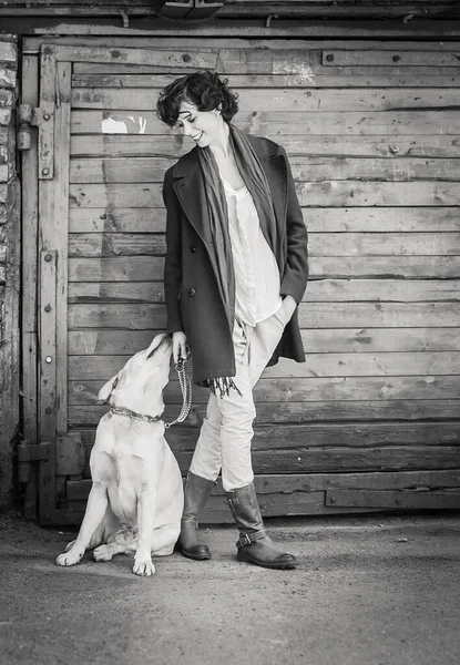 Una Ragazza Elegante Cane Labrador Retriever Che Guardano — Foto Stock