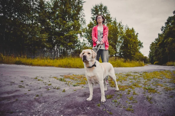 Cane Labrador Retriever Piedi Fronte Proprietario Ragazza Terra — Foto Stock