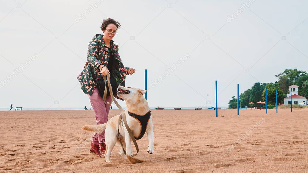 A girl and a fawn Labrador Retriever play on a sandy beach in autumn. Traveling with a dog on the sea