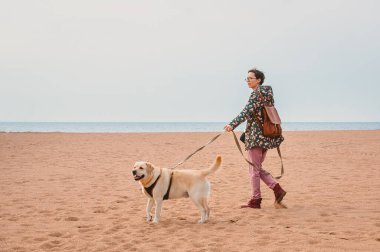 Bir kız ve yavru bir Labrador Retriever sonbaharda kumlu bir sahil boyunca koşum takımında yürürler. Denizde bir köpekle seyahat etmek