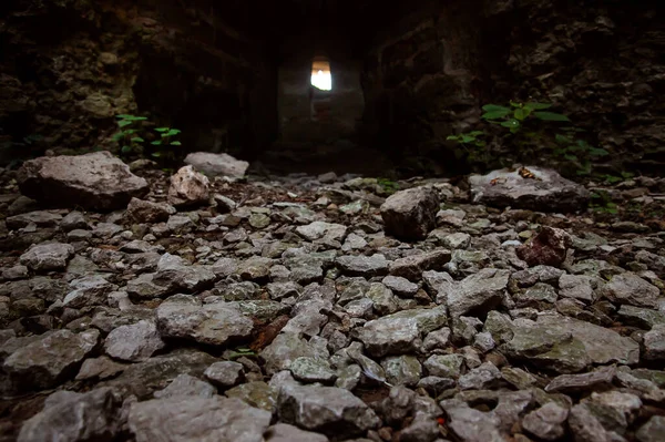 Las Plantas Piedras Suelo Una Torre Fortaleza Medieval Koporye Cerca — Foto de Stock