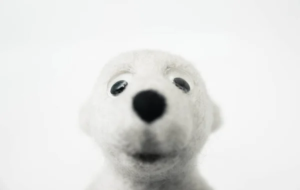 Eisbärenkopf Aus Gefilzter Wolle Auf Weißem Hintergrund — Stockfoto