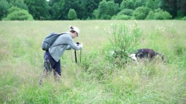 Bir kız fotoğrafçı otlakta bir ineğin fotoğraflarını çekiyor.