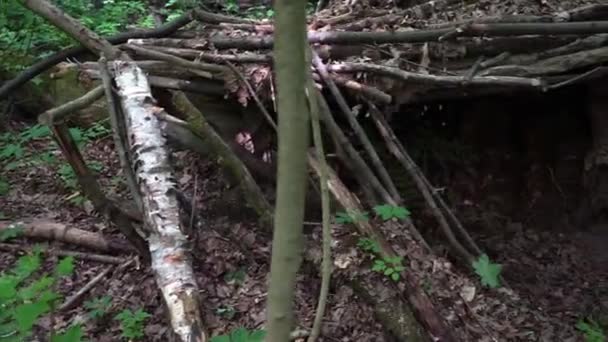 Una Cabaña Hecha Ramas Bosque Esquina Holandesa — Vídeo de stock