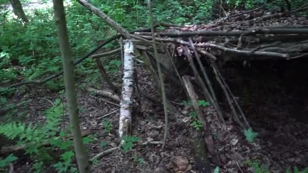 Une Cabane Faite Branches Dans Forêt Panorama — Video