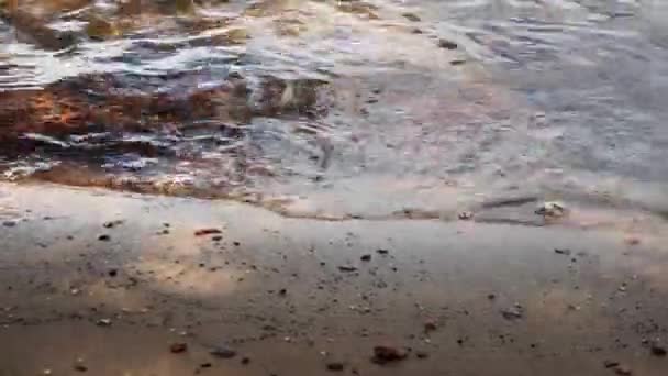 Κυματίζει Στο Νερό Ένα Αδύναμο Κύμα Στην Αμμώδη Παραλία — Αρχείο Βίντεο