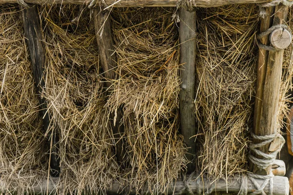 Hooi Een Houten Voederbak Voor Dieren Boerderij — Stockfoto