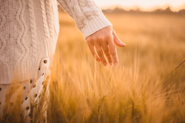 Una Mano Una Niña Caminando Campo Trigo Atardecer Fondo Verano —  Fotos de Stock