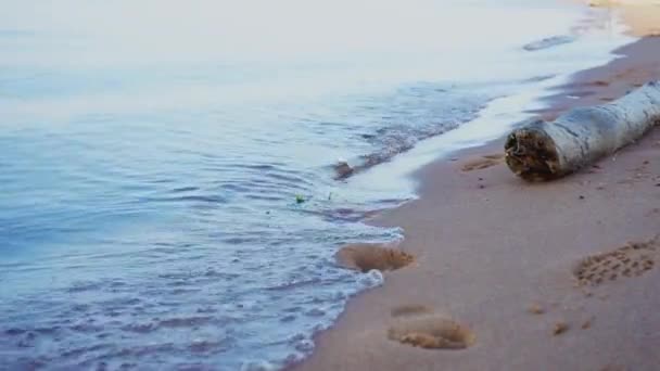 Onde Calme Riversano Sulla Spiaggia Sabbiosa Passeggiata Estiva Lungo Baia — Video Stock