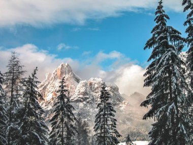 Karlı dağlarımızın ormanlarında güneşli bir gün.