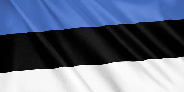 Estonsko Mávání Vlajkami Větrem Široký Formát Obrázek Vykreslování — Stock fotografie