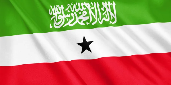 索马里兰国旗挥舞着风 宽格式 — 图库照片