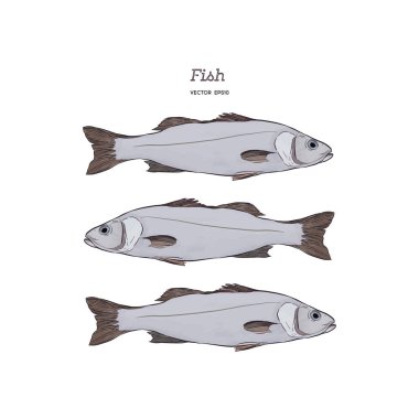 Balık elle çizilmiş resimler.
