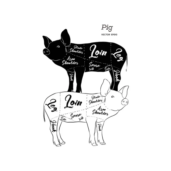 Taglio Set Carne Diagramma Schema Guida Del Macellaio Carne Maiale — Vettoriale Stock