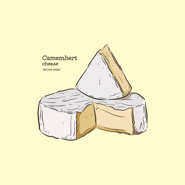 camembert peyniri, el çizmek sketch vektör.