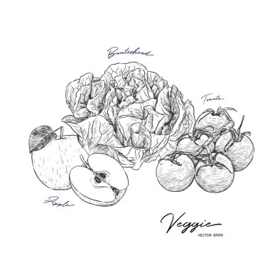 Veggetables ve meyve, el çizmek sketch vektör kümesi. Çiftlik taze meyve ve sebze