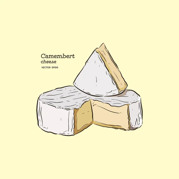 Queijo Camembert Desenho Mão Vetor Esboço —  Vetores de Stock