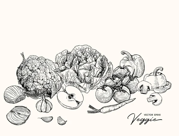 Set Von Gemüse Und Obst Hand Zeichnen Skizze Vektor Bauernhof — Stockvektor