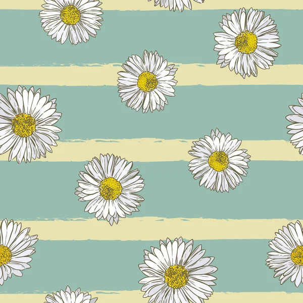 Daisy Daisy Común Dibuja Mano Bosquejo Vector Ilustración Vector Patrón — Archivo Imágenes Vectoriales