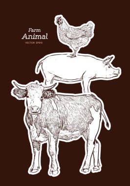Çiftlik hayvanları. İzole Vintage vektör kümesi. İnek, domuz ve tavuk