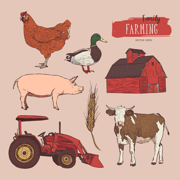 Farm set. Hand drawn illustration of cow, barn, hen, grain, tractor and duck.