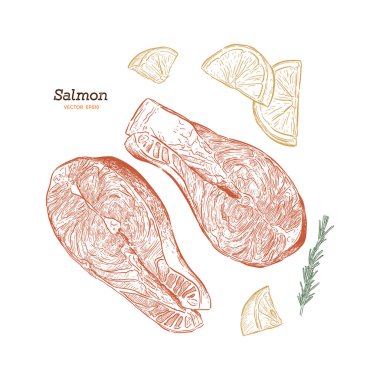 illüstrasyon vektör somon steak el çekilmiş. Biberiye, limon, balık öğeleri