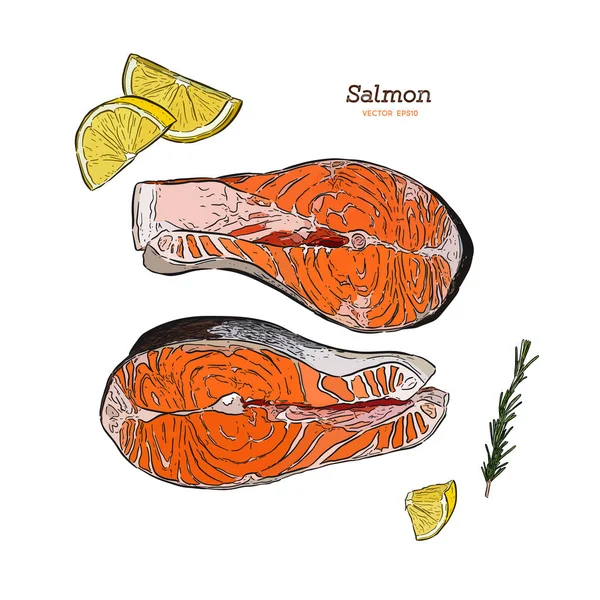 Vector Filete Salmón Ilustración Dibujada Mano Romero Limón Elementos Pescado — Archivo Imágenes Vectoriales