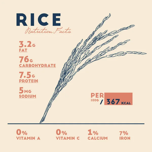 Gesundheitliche Vorteile Von Reis Ernährungsfakten Handgezeichneter Vektor Für Gesundheitliche Vorteile — Stockvektor