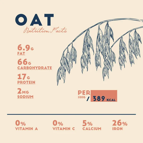 燕麦对健康的益处 营养事实 手绘健康福利向量 — 图库矢量图片