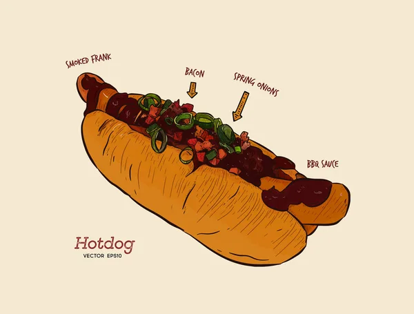Hot Dog Sketch Vektorzeichnung Fast Food Bratwurst Mit Grillsoße Speck — Stockvektor