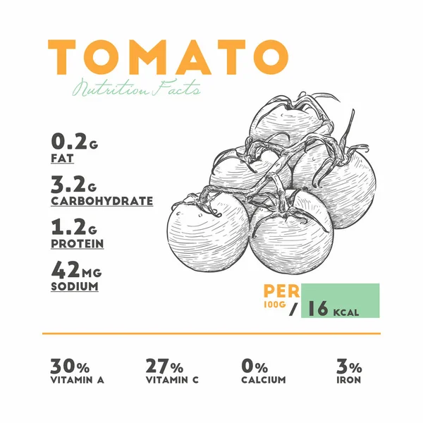 Datos Nutricionales Del Tomate Crudo Dibujar Mano Vector Boceto — Archivo Imágenes Vectoriales